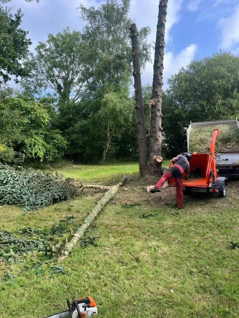 Broyage des branches après élagage à Lannion – Établissement Rochelle, paysagiste spécialisé en abattage et entretien de jardin.