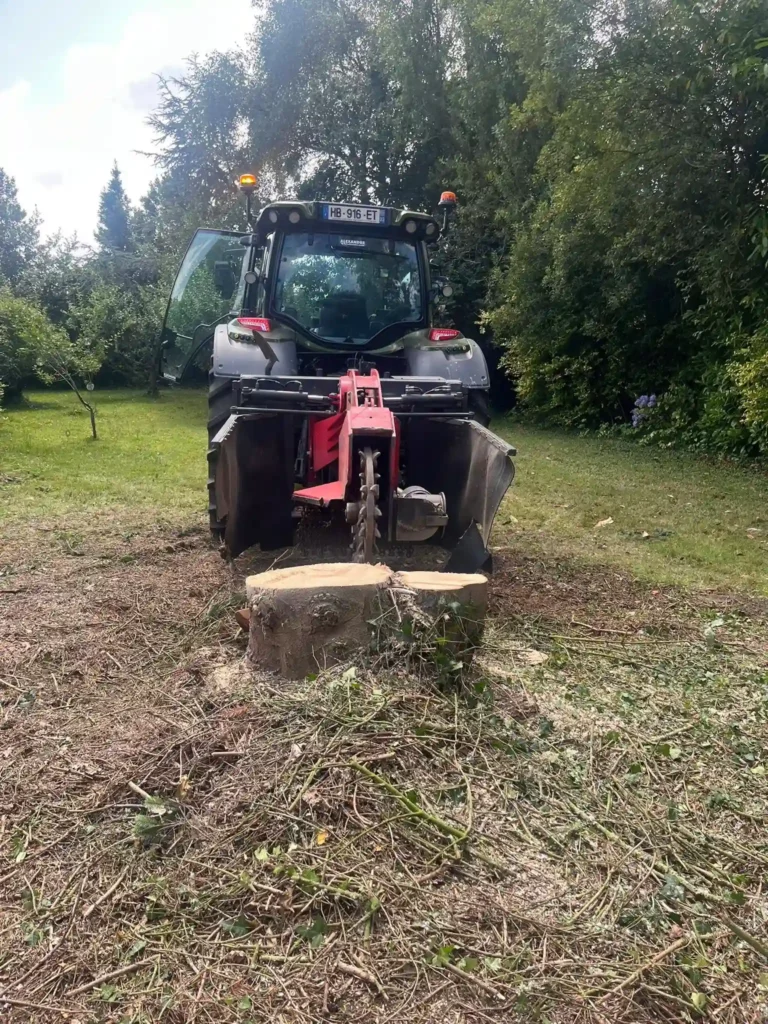 Souche d’arbre en cours de rognage – Établissement Rochelle paysagiste Lannion, abattage et entretien de jardin.