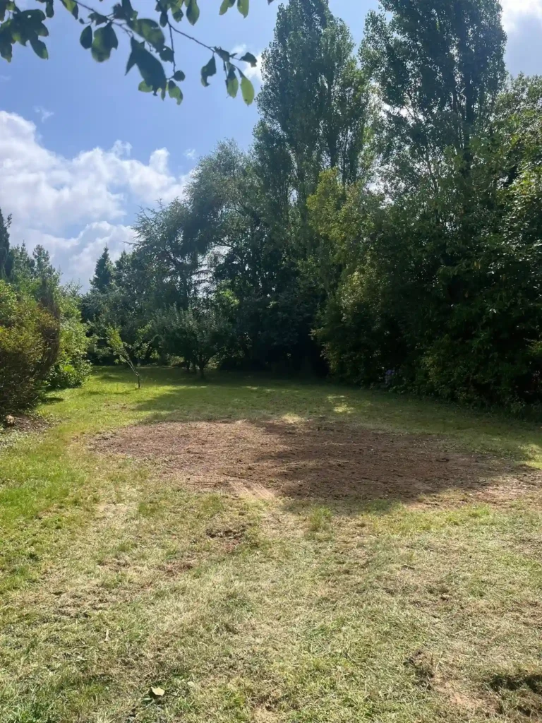 Jardin remis en état après abattage et élagage – Paysagiste Lannion Établissement Rochelle, entretien de jardin.